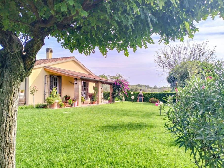 Villetta Rio, Large Private Garden Cecina (Livorno) Eksteriør bilde
