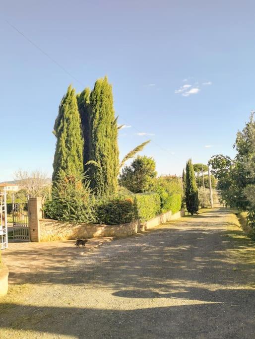 Villetta Rio, Large Private Garden Cecina (Livorno) Eksteriør bilde
